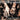 New - Machine Head - The More Things Change... - 2xLP - Tone Deaf Records