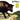 New - BullAngus - BullAngus - LP - Tone Deaf Records
