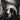 Used - Behind The Shadow Drops - H a r m o n i c - LP - Tone Deaf Records