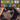 Used - Santamaria, Mongo - Watermelon Man! - LP - Tone Deaf Records