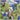 Used - Orchid Spangiafora + Glands Of External Secretion - Couscous Bizarre - LP - Tone Deaf Records
