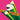 New - Panda Bear & Sonic Boom - A ? Of WHEN - LP - Tone Deaf Records