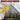 New - V/A - Great Lakes Gospel: Vol. 2 Detroit - LP - Tone Deaf Records