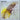 New - Azita - Life On The Fly - LP - Tone Deaf Records