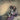 New - Myriad, Carrl & Janie - Of All the Wounded People... - LP - Tone Deaf Records