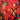 Used - Neon Judgement - Horny As Hell - LP - Tone Deaf Records