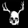 Used - Secret Fun Club - Skulls With Antlers - LP - Tone Deaf Records