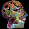New - Osees - Cara Maluco - 12" - Tone Deaf Records