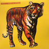 Used - Speed, Glue & Shinki - Self Titled - 2xLP - Tone Deaf Records