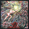 Used - Dodos - Individ - LP - Tone Deaf Records