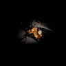 New - Verity Den - Wet Glass - LP - Tone Deaf Records