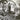 Used - Divorced - Separation Anxiety - LP - Tone Deaf Records