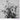 Used - Blue Chemise - Flower Studies - LP - Tone Deaf Records