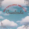 Used - The Lonesome Organist - Cavalcade - LP - Tone Deaf Records