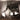Used - Sun Kil Moon - April - 2xLP - Tone Deaf Records