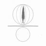 New - O'Malley, Stephen - Spheres Collapser - LP - Tone Deaf Records