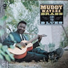 New - Waters, Muddy - Brass & The Blues - LP - Tone Deaf Records