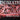 Used - Domain - Embodiment Of Suffering - LP - Tone Deaf Records
