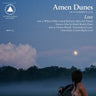Used - Amen Dunes - Love - LP - Tone Deaf Records