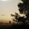 Used - Arbouretum - The Gathering - LP - Tone Deaf Records