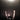 Used - Tweedy, Jeff - Warm - LP - Tone Deaf Records