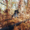 New - Woods, Billy - Golliwog - 2xLP - Tone Deaf Records