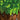 New - C418 - Minecraft Volume Alpha - LP - Tone Deaf Records