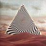 Used - Perhaps - 7.0 - LP - Tone Deaf Records