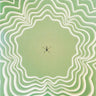 Used - Green Milk From The Planet Orange - Third - LP - Tone Deaf Records