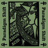 Used - Amon Acid - Paradigm Shift - LP - Tone Deaf Records