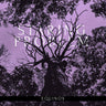New - Staring Problem - Equinox - LP - Tone Deaf Records
