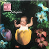 Used - Barnes & Barnes - Zabagabee: The Best Of Barnes & Barnes - LP - Tone Deaf Records