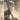 New - Davis, Miles - The Musings of Miles: OJC Series - LP