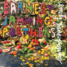 New - Powers, Emily Jane - Earnest Jamming Partners - LP - Tone Deaf Records