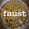 New - Faust - Gugaruz- LP - Tone Deaf Records