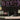 Used - King, B.B. - Midnight Believer - LP - Tone Deaf Records