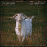 New -  Scott, Robert - The Green House - LP - Tone Deaf Records