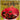 Used - Glands Of External Secretion - Neck Pillow - LP - Tone Deaf Records