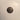 Used - The Hams - Giving Thanks / Thanks Giving - 12" - Tone Deaf Records