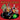 New - V/A - Halloween Nuggets - LP - Tone Deaf Records