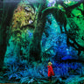 Used - Gardner, Jacco - Cabinet of Curiosities - LP - Tone Deaf Records