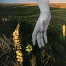 New - Kerosene Heights - Southeast Of Somewhere - LP - Tone Deaf Records