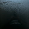 New - Membranes - Dark Matter/Dark Energy - LP - Tone Deaf Records