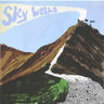 Used - Claypipe - Sky Wells - LP - Tone Deaf Records