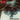 New - Prolapse - I Wonder When They're Going To Destroy Your Face - LP