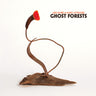 New - Lattimore, Mary & Meg Baird - Ghost Forests - LP - Tone Deaf Records