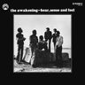 New - The Awakening - Hear, Sense & Feel - LP - Tone Deaf Records