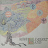 Used - Tasavallan Presidentti - Lambertland - LP - Tone Deaf Records