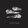New - Molina, Jason & MJ Lenderman - The Last Three Human Words (Demo) / Just Be Simple - 7" - Tone Deaf Records