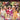 Used - Honey Ltd. - The Complete LHI Recordings - LP